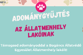 ADOMNYGYJTS AZ LLATMENHELY LAKINAK