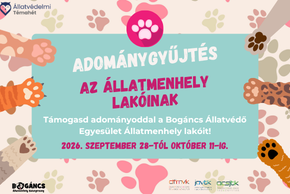 Adom�nygy�jt�s az �llatmenhely lak�inak 2026.
