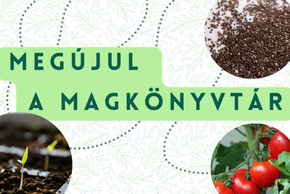 Megjul a magknyvtr a Dek Ferenc Megyei s Vrosi Knyvtrban!