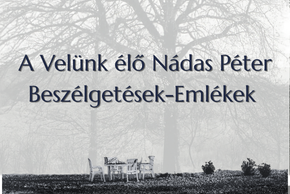 N�das P�ter-eml�kest a k�nyvt�rban