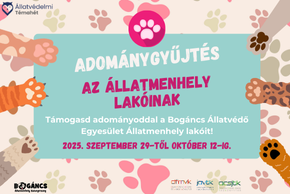 Adománygyűjtés az Állatmenhely lakóinak 2025. Adománygyűjtés az Állatmenhely lakóinak 2025.