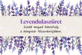 Szedd magad! levendulaszüret Szedd magad! levendulaszüret
