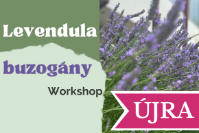 M�sodik felvon�s - levendula buzog�ny k�sz�t� workshop!